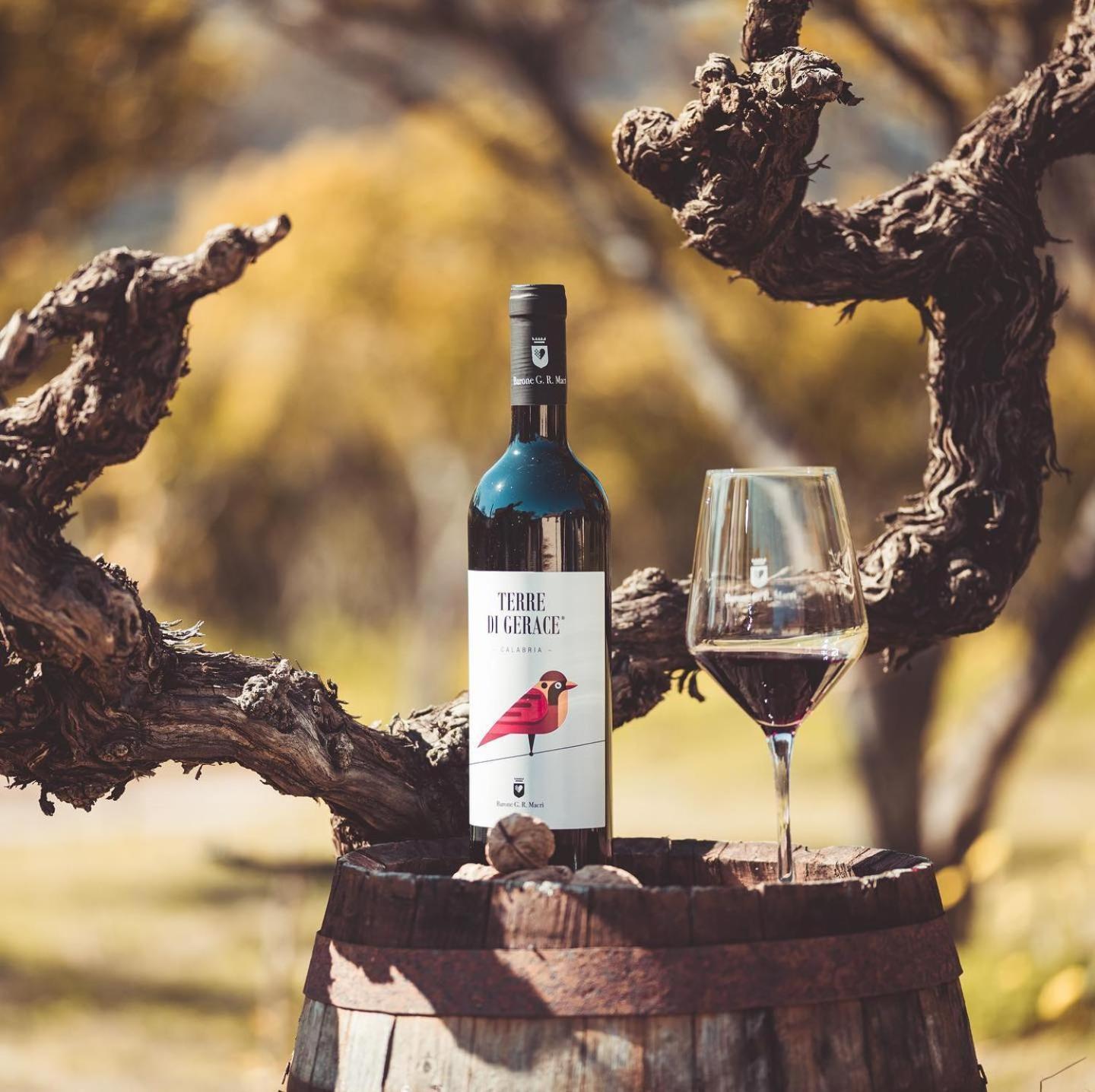 Barone Gr Macri Agriturismo Modi Gerace Luaran gambar