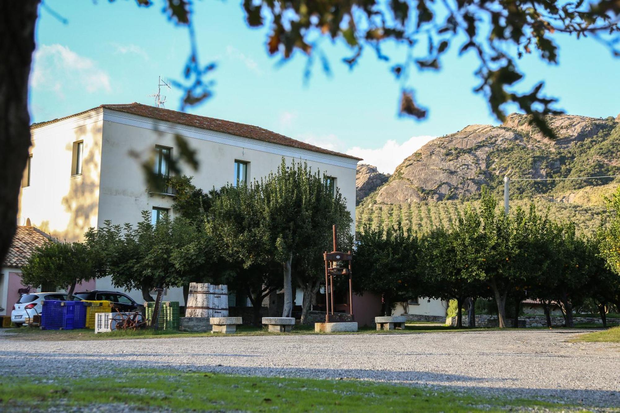 Barone Gr Macri Agriturismo Modi Gerace Luaran gambar