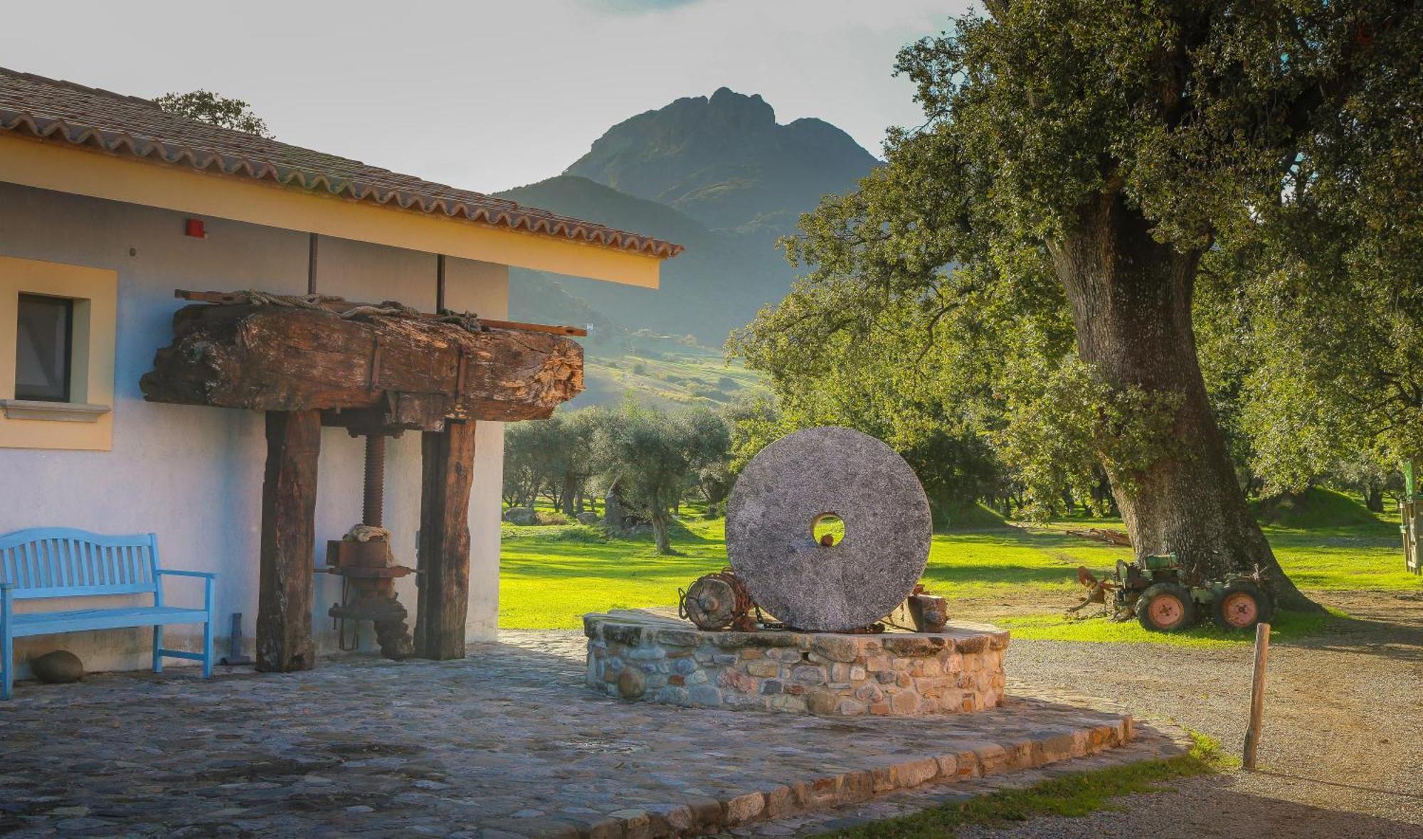 Barone Gr Macri Agriturismo Modi Gerace Luaran gambar