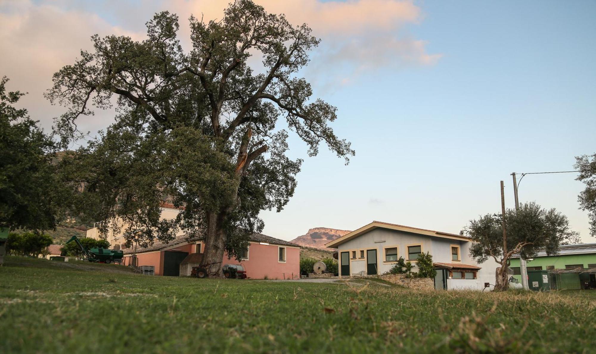 Barone Gr Macri Agriturismo Modi Gerace Luaran gambar